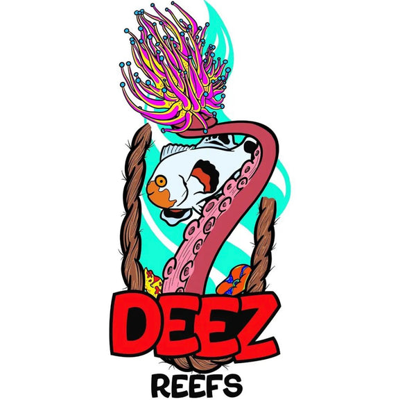 Deezreefs